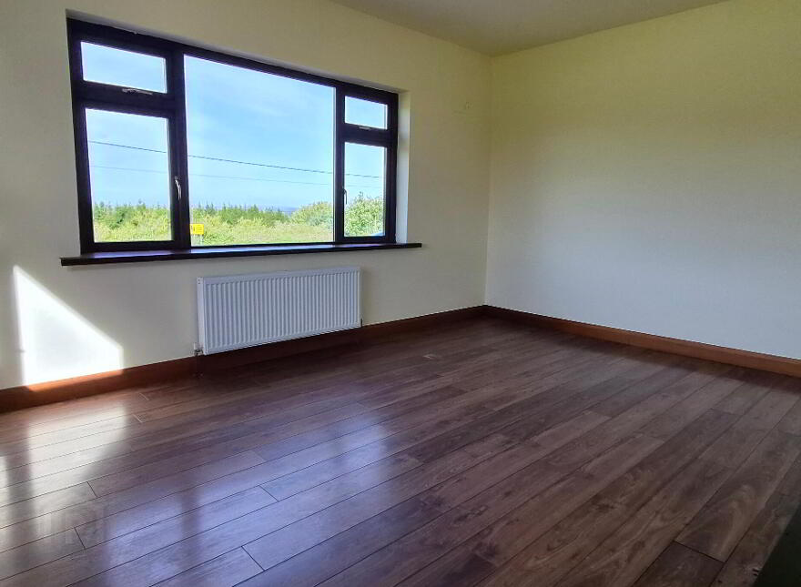 Ballyfeeny, Kilglass, F42KX01