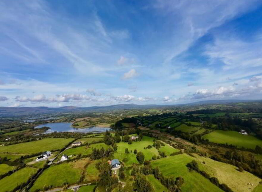 1 Saint Caillins View, Fenagh, D03