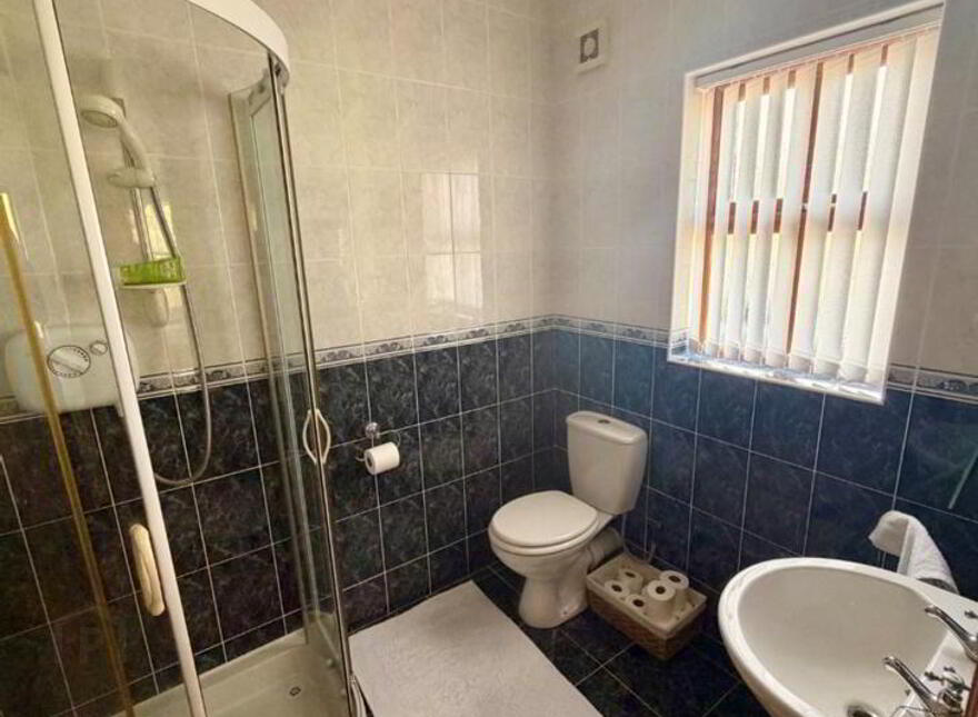 1 Saint Caillins View, Fenagh, D03