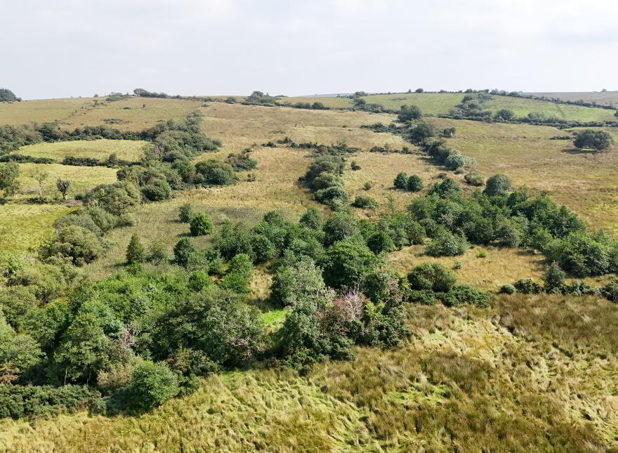 83.5 Acre Farm, Bradan Road, Proughlish, Drumquin, BT78 4QJ