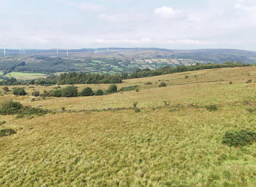 83.5 Acre Farm, Bradan Road, Proughlish, Drumquin, BT78 4QJ