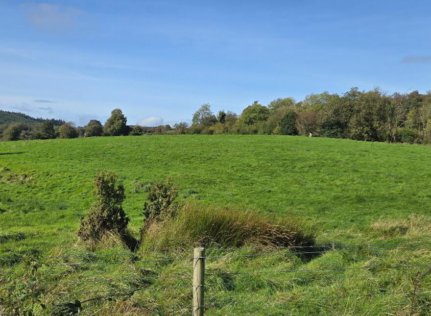 83.5 Acre Farm, Bradan Road, Proughlish, Drumquin, BT78 4QJ