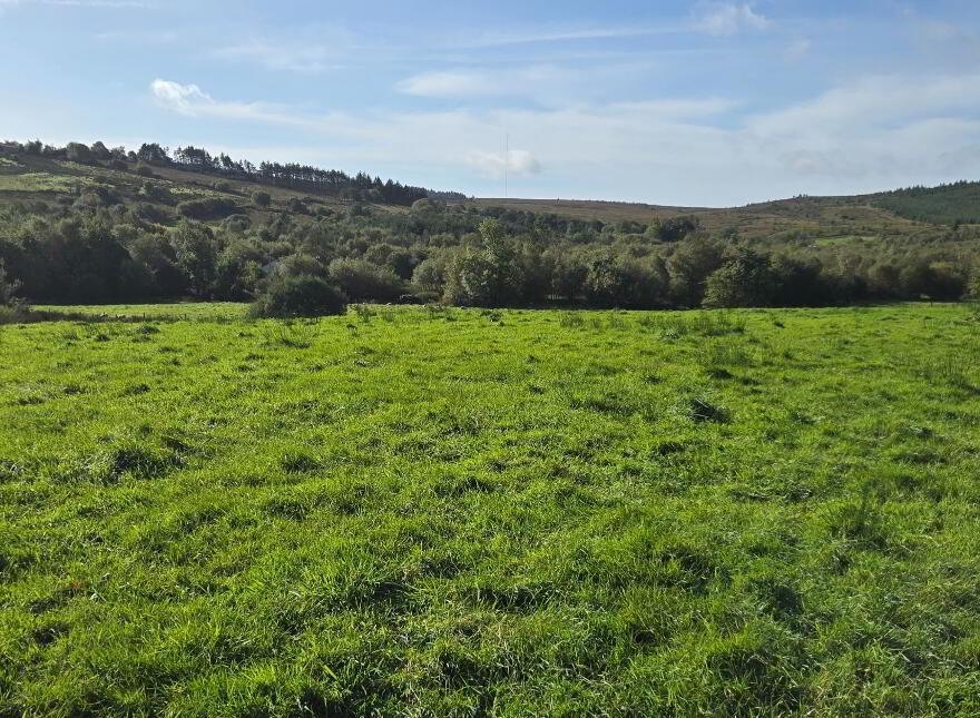 83.5 Acre Farm, Bradan Road, Proughlish, Drumquin, BT78 4QJ