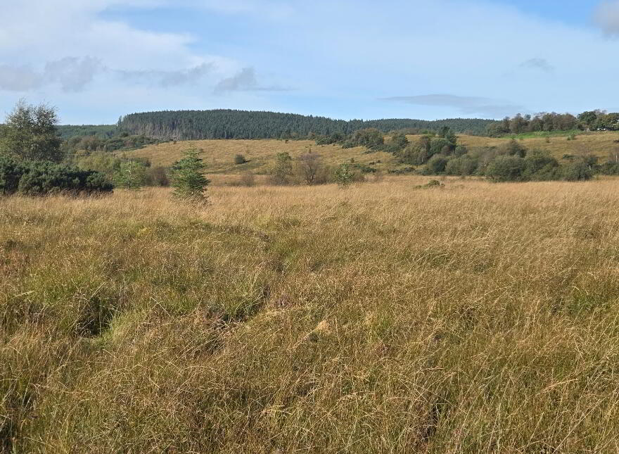 83.5 Acre Farm, Bradan Road, Proughlish, Drumquin, BT78 4QJ