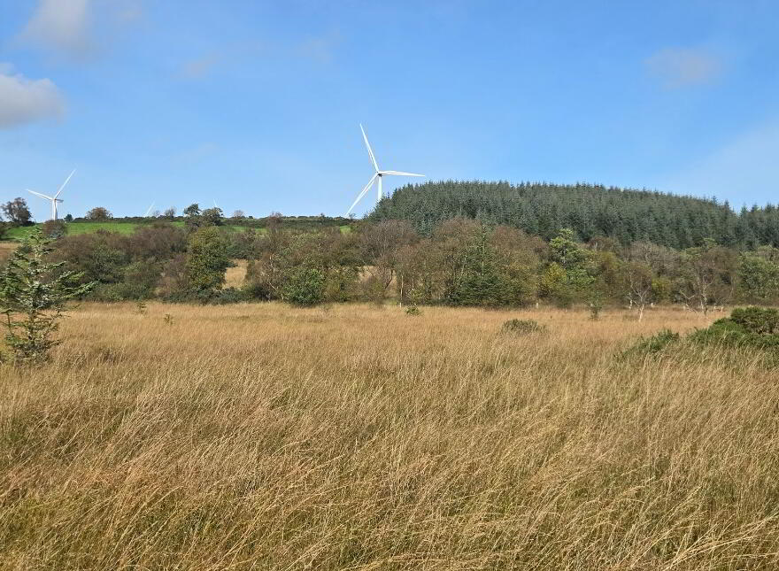 83.5 Acre Farm, Bradan Road, Proughlish, Drumquin, BT78 4QJ