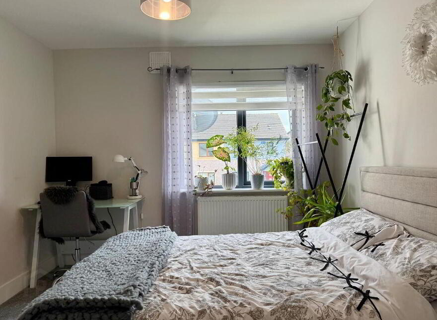 28 Meadow Avenue, Whitebrook, Whiterock, Y35R99C