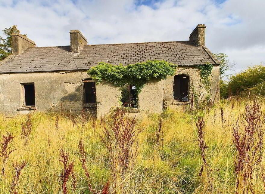 Tullagower, Cooraclare, Cooraclare, V15H324