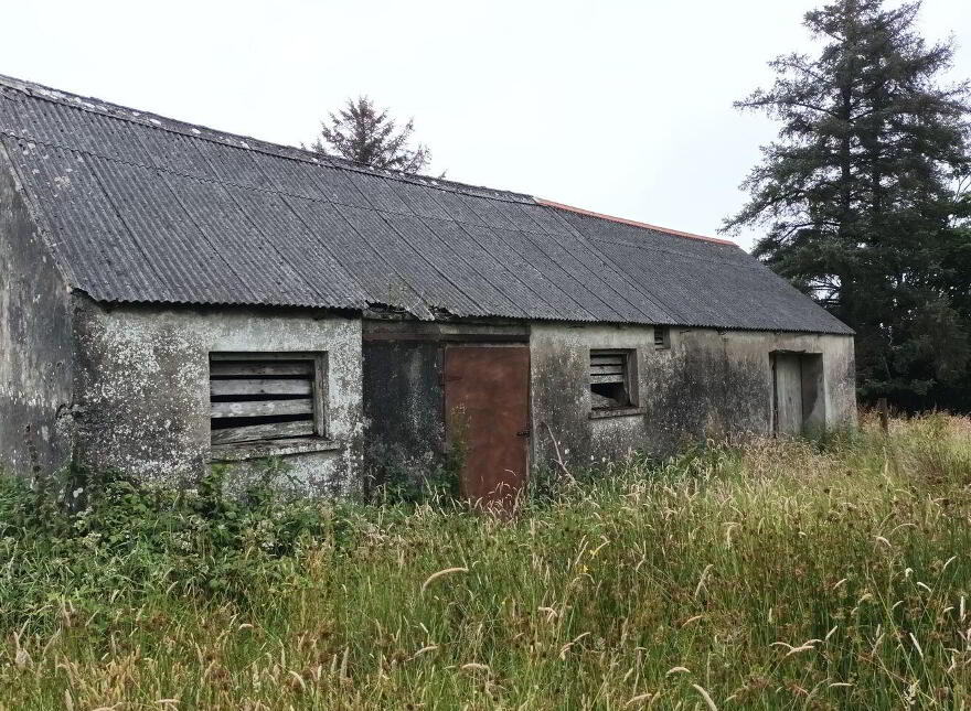 Tullagower, Cooraclare, Cooraclare, V15H324