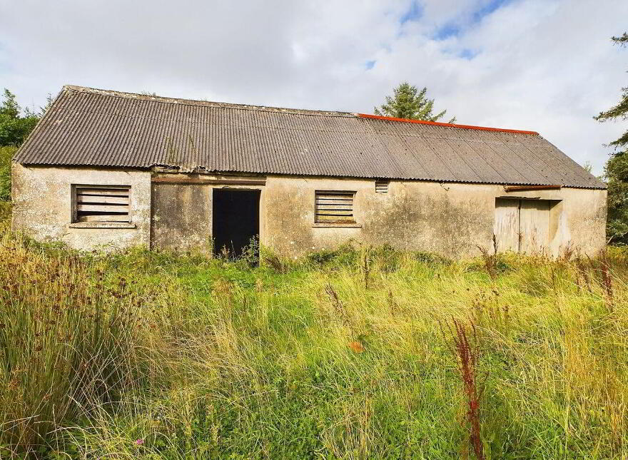 Tullagower, Cooraclare, Cooraclare, V15H324