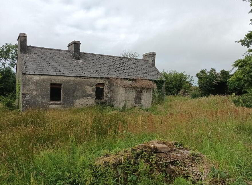 Tullagower, Cooraclare, Cooraclare, V15H324