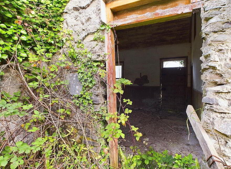 Tullagower, Cooraclare, Cooraclare, V15H324