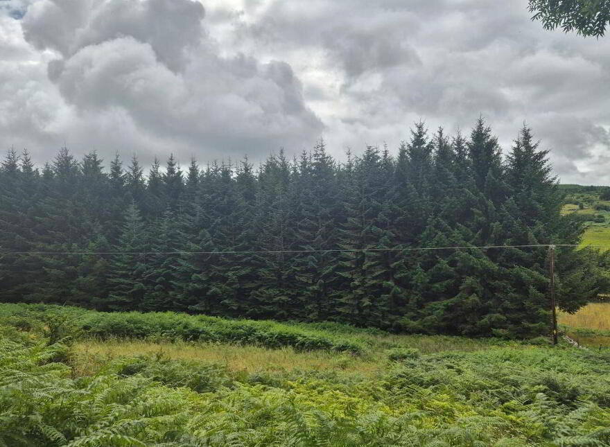 Scurlocksleap, Blessington