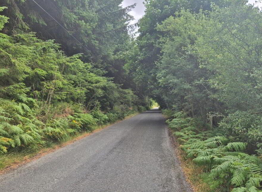 Scurlocksleap, Blessington