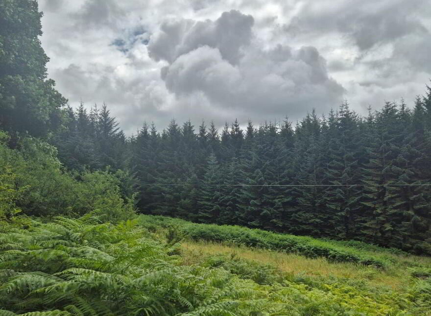 Scurlocksleap, Blessington