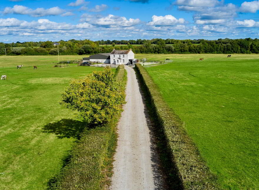 23.5 Acres With Residence Ballinadrimna, Athboy, C15CD7D