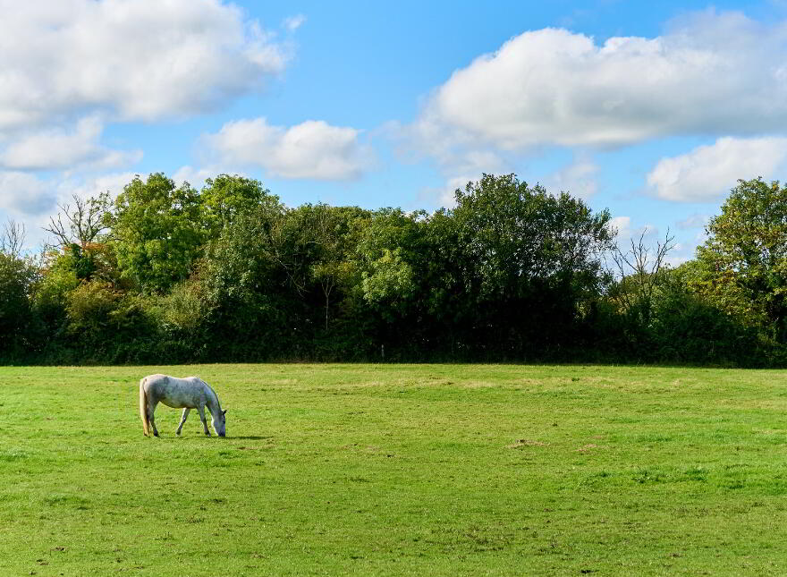 23.5 Acres With Residence Ballinadrimna, Athboy, C15CD7D