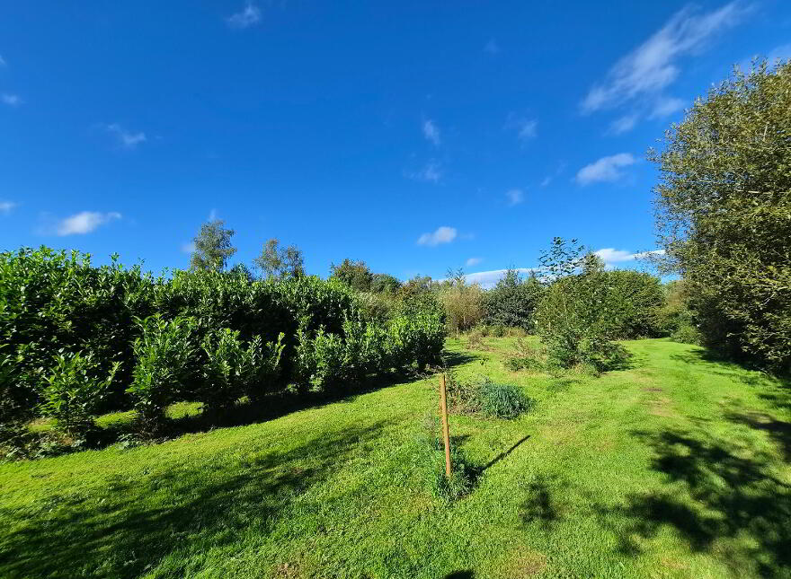 Gloria, Cootehall, Boyle, F52WN34