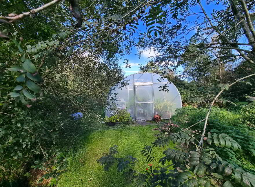 Gloria, Cootehall, Boyle, F52WN34