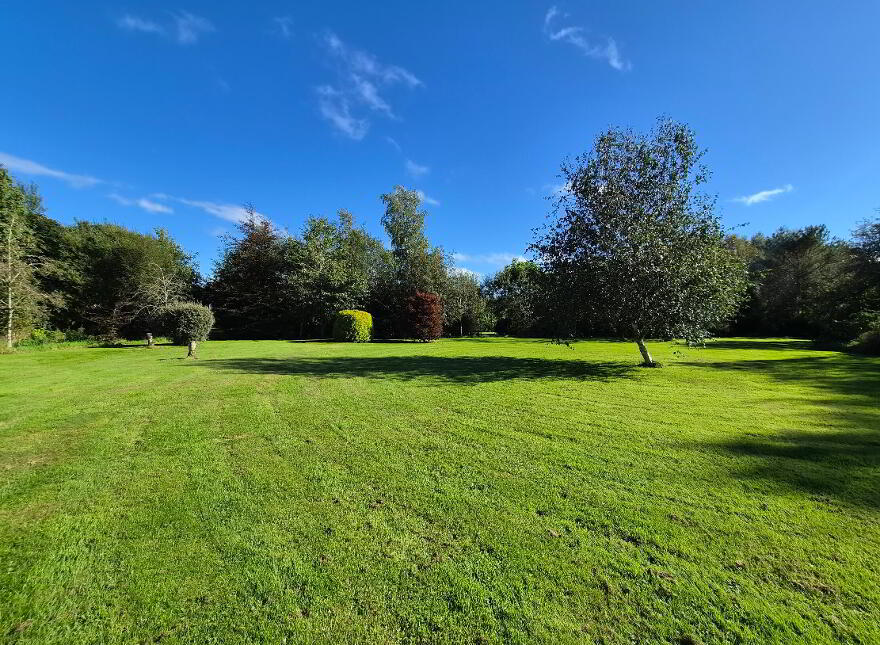 Gloria, Cootehall, Boyle, F52WN34