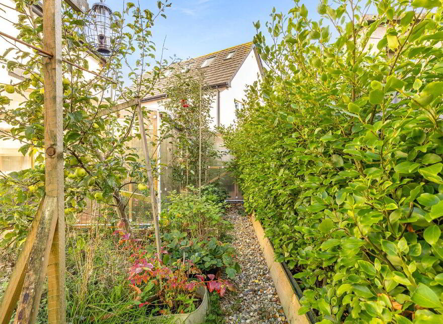 14 Morristown Crescent, The Paddocks, Newbridge, W12N225