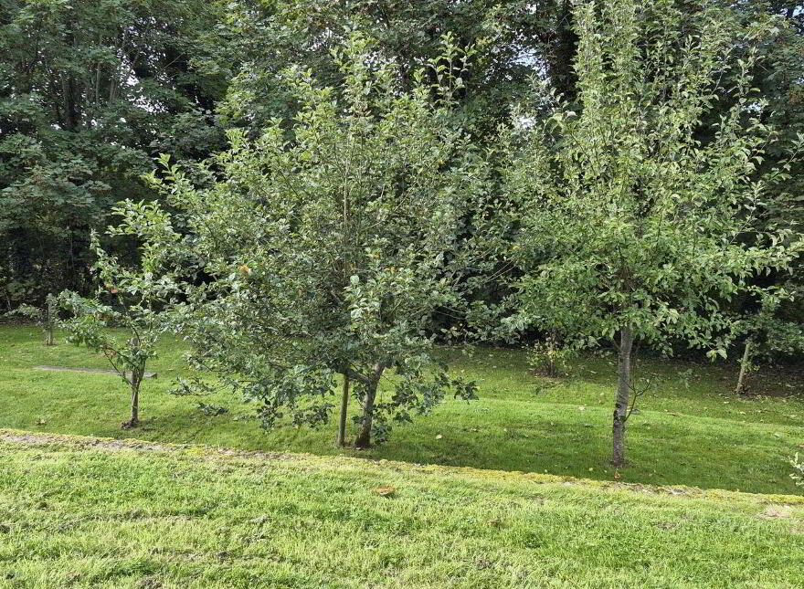 25 Fairyfield, Garraun, Garraun, V94E6X2