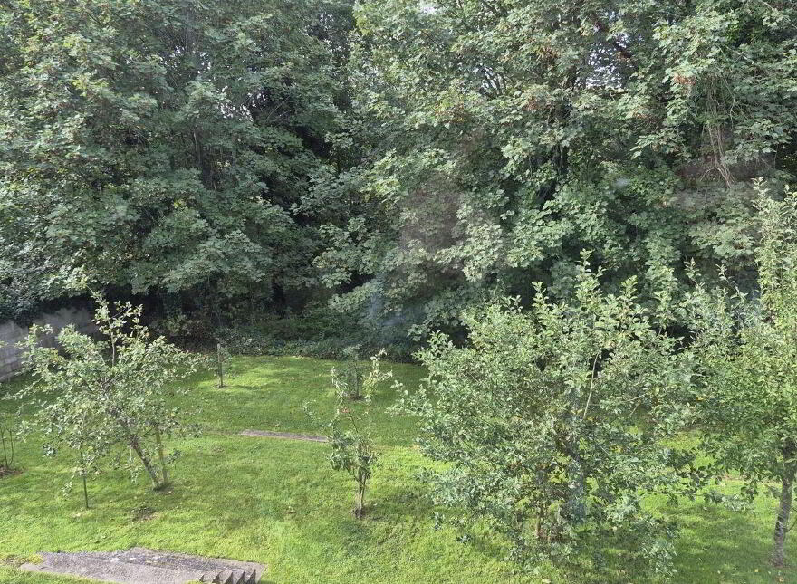 25 Fairyfield, Garraun, Garraun, V94E6X2