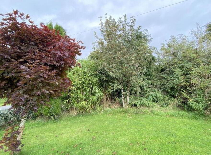 Archerstown, Delvin, Archerstown, N91DY00