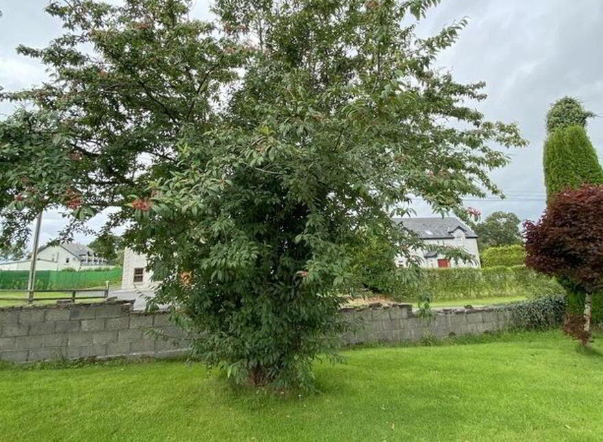 Archerstown, Delvin, Archerstown, N91DY00