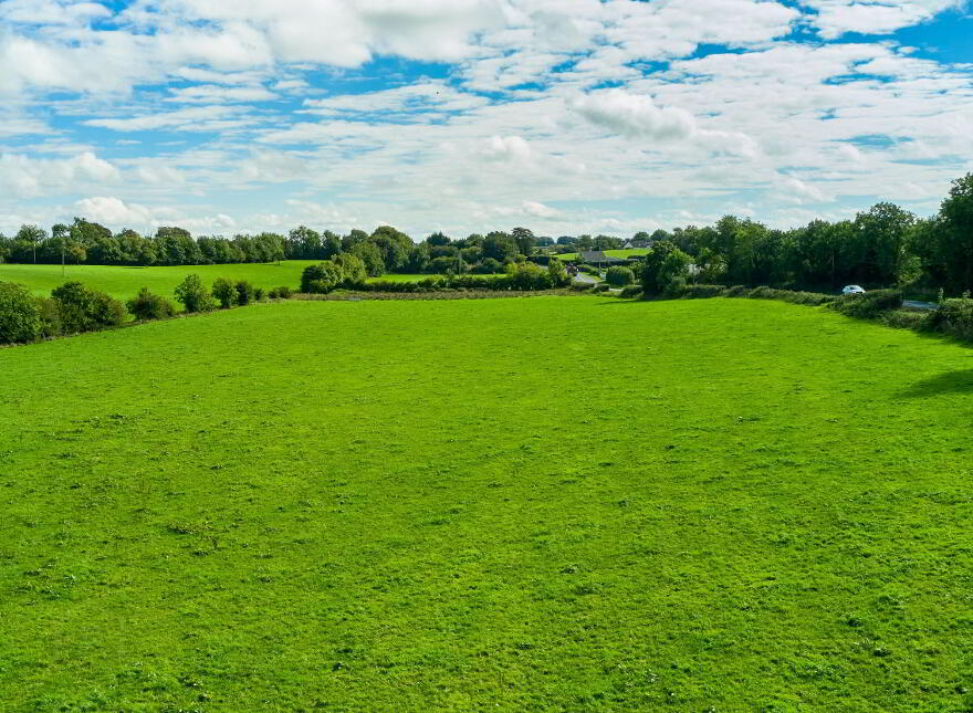 33.5 Acres Ranavogue, Crossakiel, Kells, A82XY92