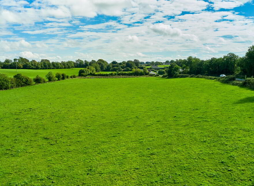 33.5 Acres Ranavogue, Crossakiel, Kells, A82XY92