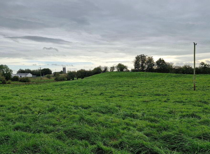 8 Moycourt, Moyvale, Ballymahon, N39F8P8