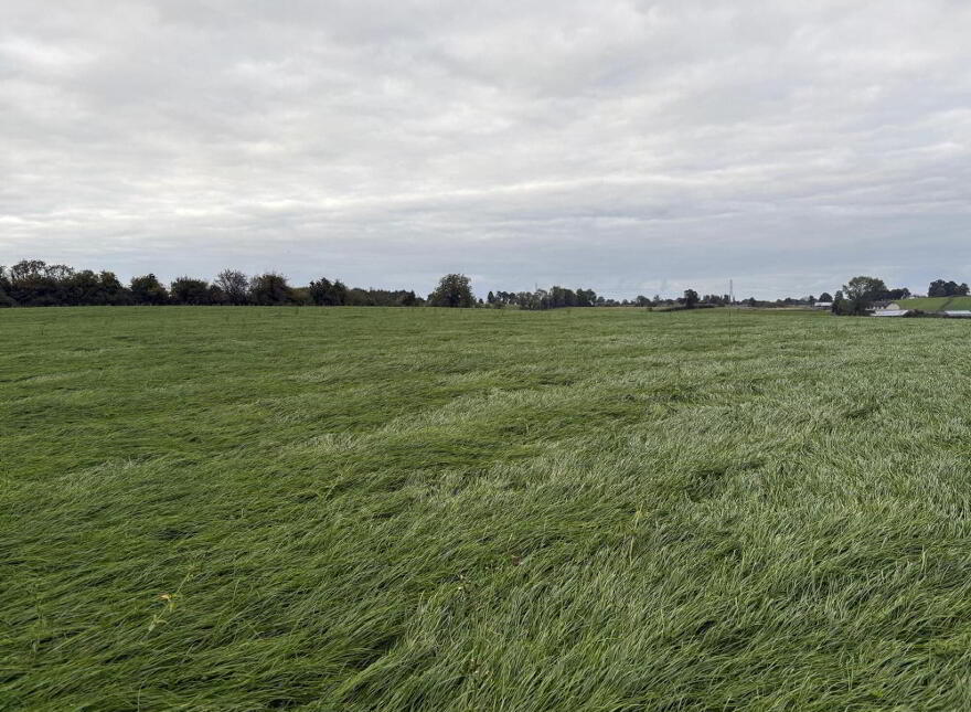 Battlehill Road, Richhill, Portadown, BT61