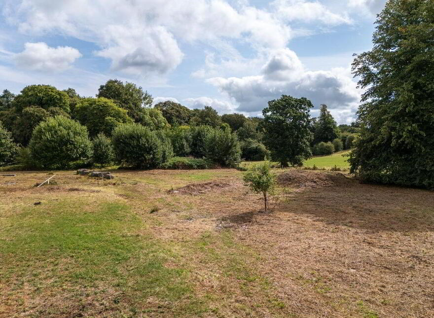 Syngefield House, Clonoghill Upper, Birr