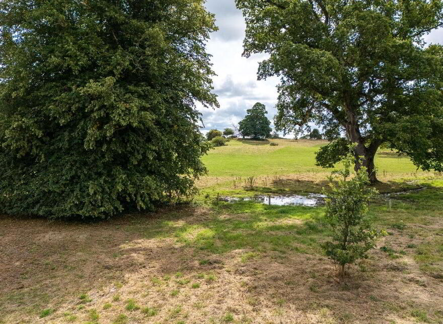Syngefield House, Clonoghill Upper, Birr