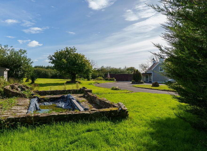Yellowford, Ballymacoda, P25X022