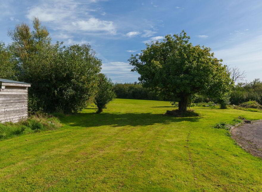 Yellowford, Ballymacoda, P25X022