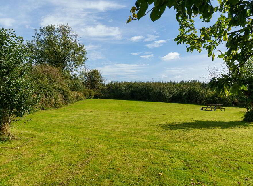Yellowford, Ballymacoda, P25X022