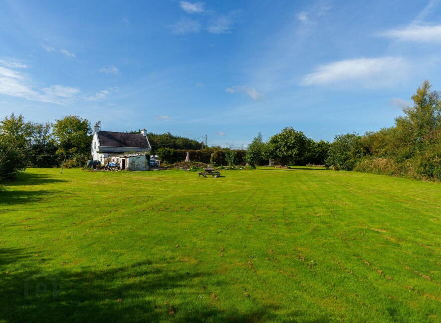 Yellowford, Ballymacoda, P25X022