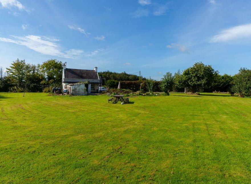 Yellowford, Ballymacoda, P25X022