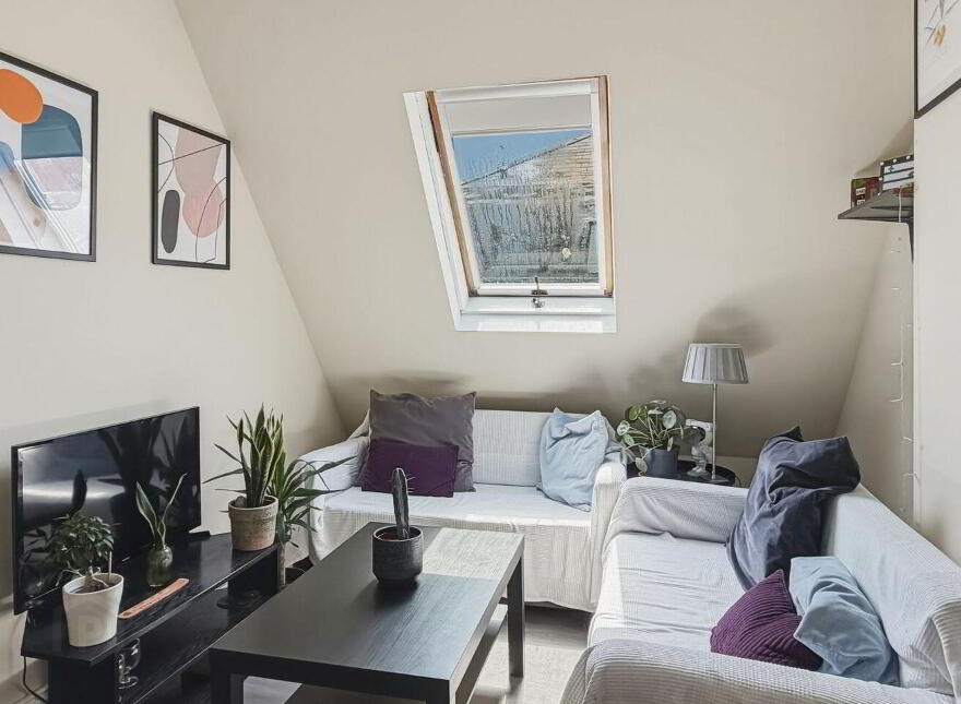 25 26 Mary Street Little, Dublin 7, D07E3HD