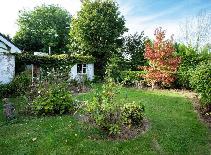 Laurel Hurst, Model Farm, Model Farm Road, T12D6KV
