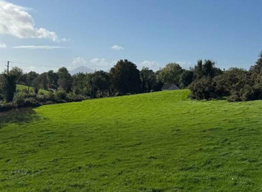 Circa 21 Acres, On The Teconnaught Road, Downpatrick, BT30