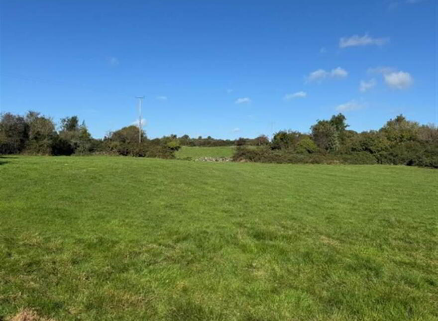 Circa 21 Acres, On The Teconnaught Road, Downpatrick, BT30