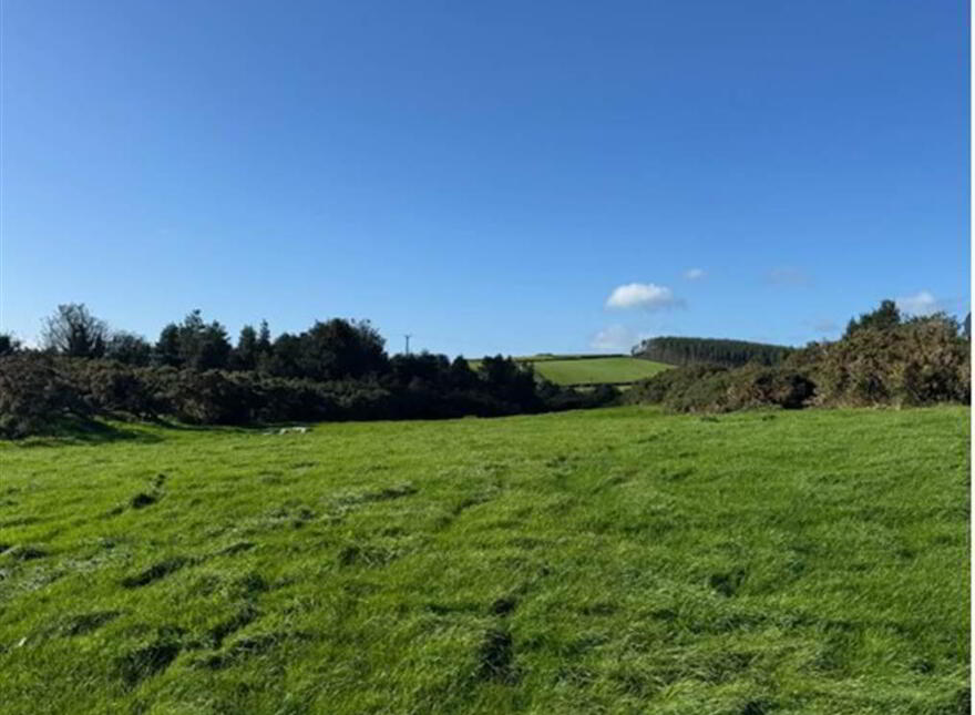 Circa 21 Acres, On The Teconnaught Road, Downpatrick, BT30