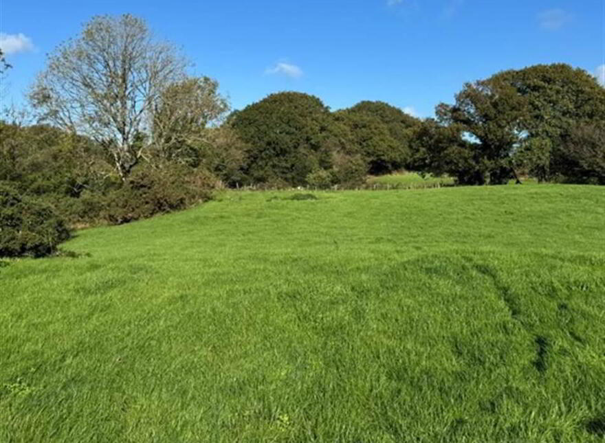 Circa 21 Acres, On The Teconnaught Road, Downpatrick, BT30