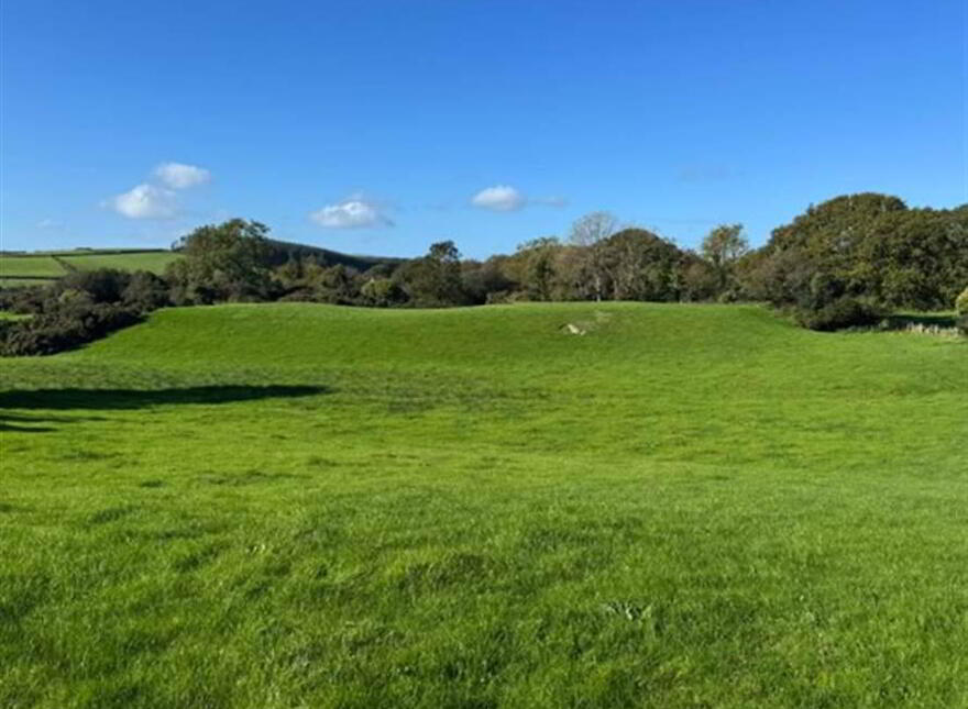 Circa 21 Acres, On The Teconnaught Road, Downpatrick, BT30