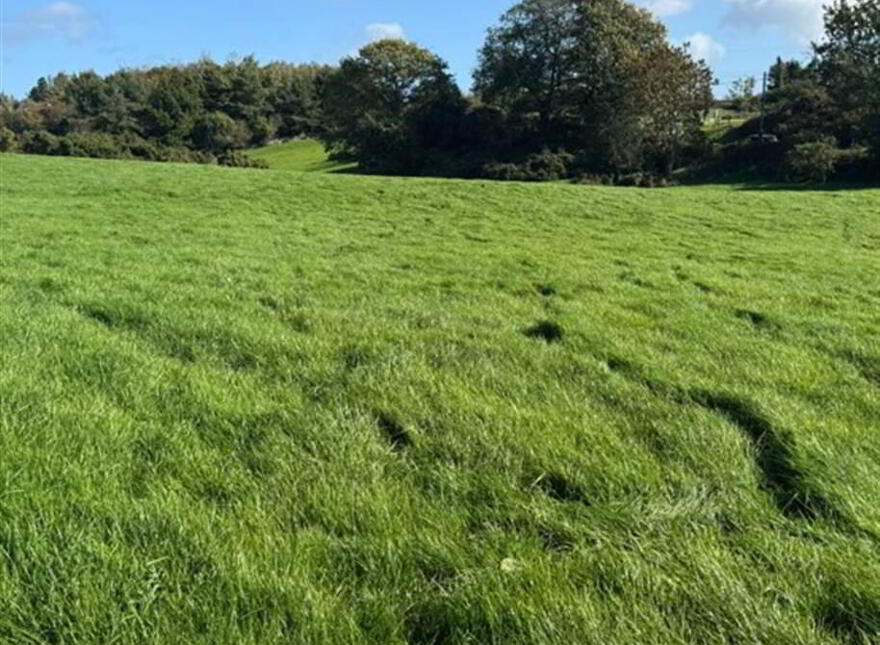 Circa 21 Acres, On The Teconnaught Road, Downpatrick, BT30