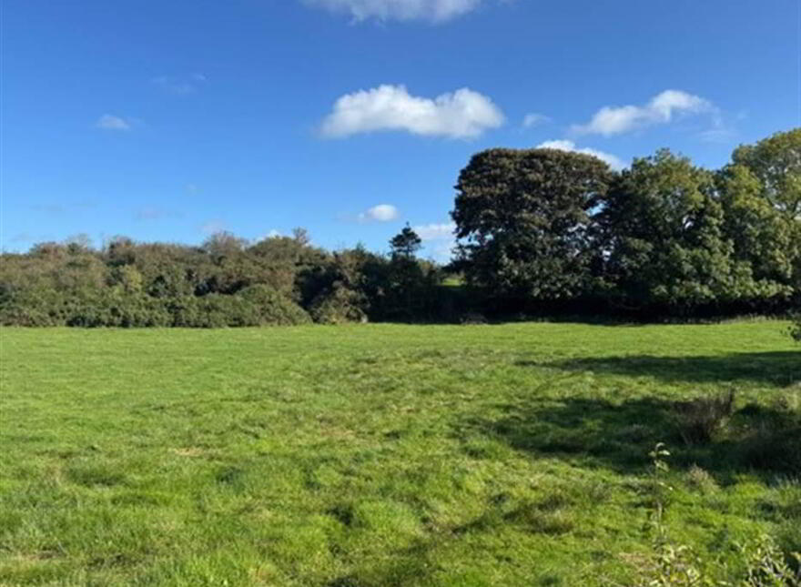 Circa 21 Acres, On The Teconnaught Road, Downpatrick, BT30