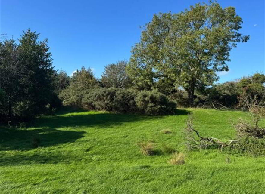 Circa 21 Acres, On The Teconnaught Road, Downpatrick, BT30