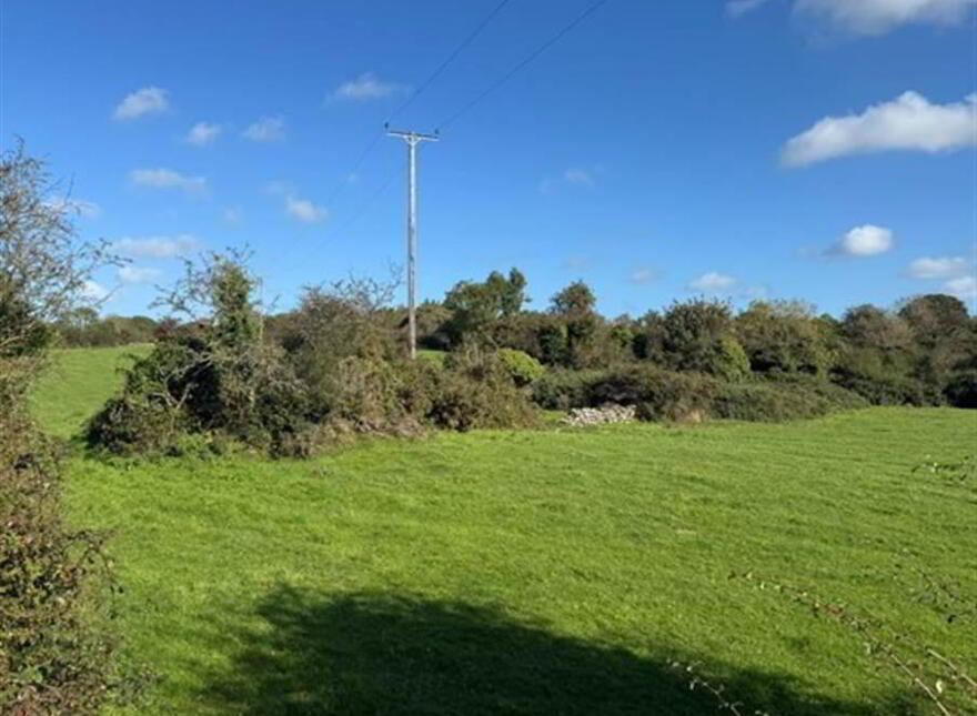 Circa 21 Acres, On The Teconnaught Road, Downpatrick, BT30